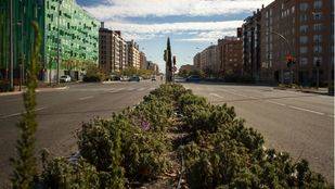 El Ensanche de Vallecas será ajardinado desde septiembre