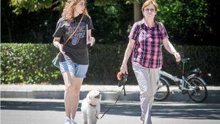 La primera sesión de cine 'petfriendly', sin entradas