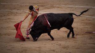 Madrid, la segunda comunidad que más corridas de toros celebra