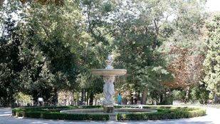 La Noche Internacional de los Murciélagos, en la Universidad Complutense