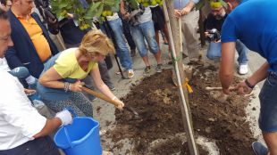 Aguirre critica el "mal estado" del arbolado con un madroño 'protesta'