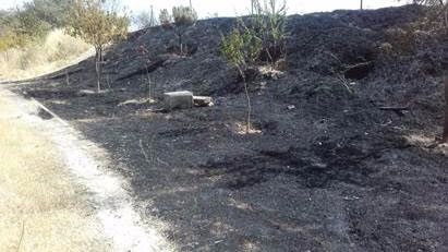 Incendio en el parque Manolito Gafotas