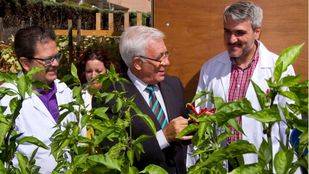 Sanidad realizará un estudio sobre los beneficios que aporta en pacientes el cultivo de un huerto 'terapéutico'