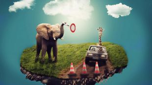 ¿Significan algo los sueños?