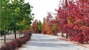Comienza el otoño: ¿Cómo combatir la astenia en esta estación?
