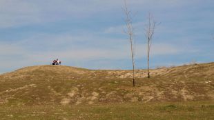 Madrid invertirá 1,2 millones en rehabilitar el Parque de la Gavia
