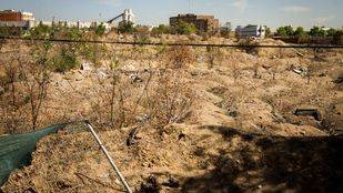 Los vecinos que apoyan Castellana Norte pedirán a Fomento la prórroga del contrato con la empresa