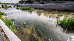 El PSOE ve "deficiente" el contrato del Manzanares