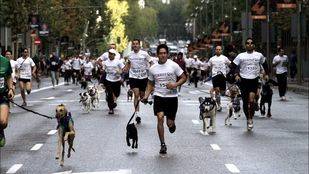 La carrera solidaria Perrotón vuelve este domingo para promover la adopción de animales
