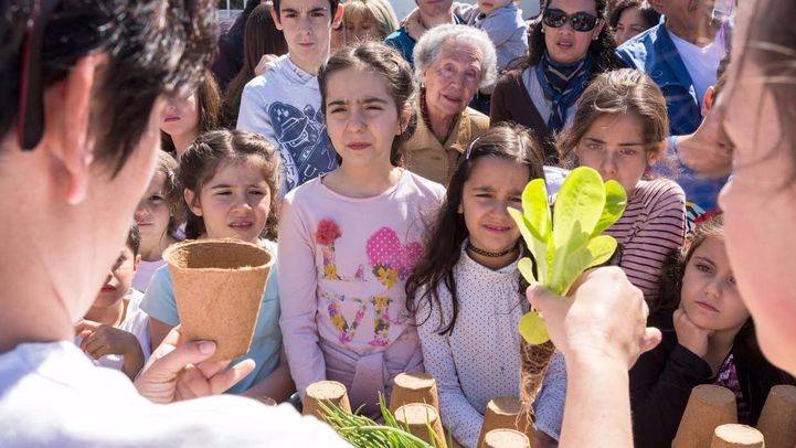 Huertos urbanos de la Fundación Montemadrid