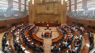 La Asamblea pide a Dancausa medidas urgentes para disminuir la criminalidad