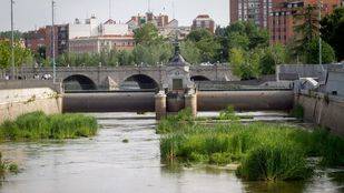 Patrimonio Nacional ve "inviable" la práctica de remo en el embalse de El Pardo