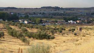 El portavoz de Podemos en la Asamblea y el alcalde de Rivas se reúnen en busca de solución para la Cañada