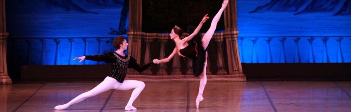 'El lago de los cisnes' en el Teatro Fernán Gómez