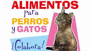 El Corte Inglés organiza una recogida de pienso para mascotas para ayudar a las protectoras de animales