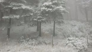 Previsión de acumulación de nieve de hasta 18 centímetros en cota de 1.000 metros