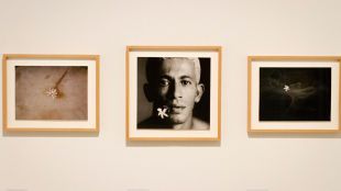 La mayor antológica de Toni Catany, en la Sala Canal de Isabel II