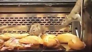 Precintan una panadería en la calle Alcalá por la presencia de ratas