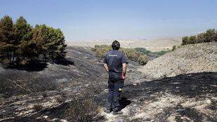 Diez años de cárcel para un guardia civil con problemas psicológicos que provocó 20 incendios