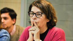 Sabanés considera un "error" los niveles de preaviso por contaminación de la Comunidad