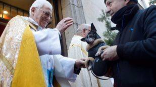 Los animales domésticos reciben este martes la bendición por San Antón