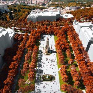 Dos proyectos finalistas para remodelar la plaza de España