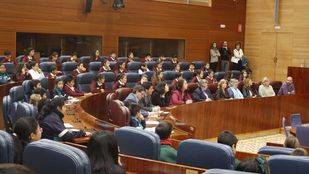El Pleno infantil, contra el acoso escolar: "No le hagas a los demás lo que no te gustaría que te hicieran"