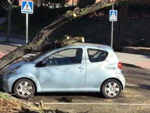 Los fuertes vientos causan heridos en la capital y la alerta se mantiene en la sierra
