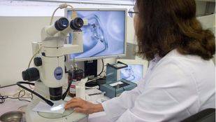 Las mujeres madrileñas tendrían que trabajar nueve años más que los hombres para cobrar la misma pensión