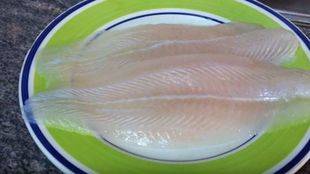 Adiós al panga en los colegios mayores de la Complutense