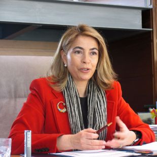 La diputada González-Moñux irá a la Asamblea a votar los presupuestos