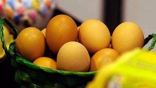 Conoce los beneficios de los huevos ecológicos