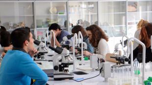 Madrid aumenta un 35% el número de alumnos del Bachillerato de Excelencia