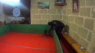 Detenidas 34 personas de una red de peleas ilegales de perros