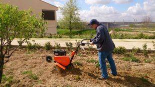 Personas con discapacidad intelectual ponen en marcha un huerto terapéutico en Colmenar de Oreja