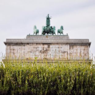 Lo que cuesta dar luz al Arco de la Victoria franquista de Moncloa