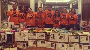 Colmenar Viejo celebra este sábado una jornada de adopción de animales