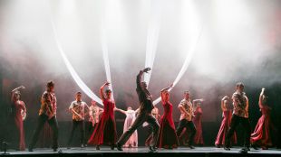 La Comunidad, centro mundial del flamenco