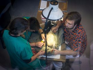 Equo pide que se suspenda un curso de caza en un 'hospital' de animales