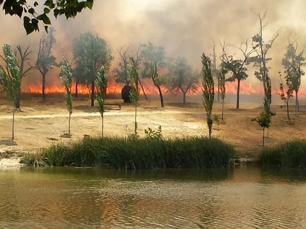 El alcalde de Leganés supervisa la extinción del incendio del Parque de Butarque