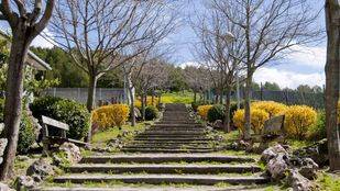 Rivas-Vaciamadrid quiere consolidarse como la localidad madrileña con más espacios verdes por habitante