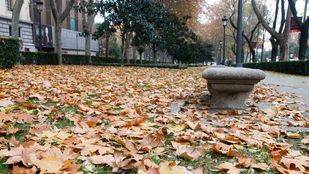 Madrid recupera la campaña de recogida de hojas
