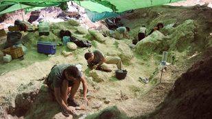 El Cerro de los Batallones muestra la fauna de hace 10 millones de años