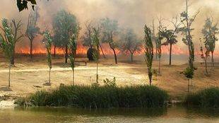 La Comunidad pide colaboración ciudadana para luchar contra los incendios forestales