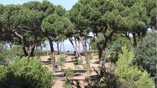 El desacuerdo entre los partidos políticos impide pactar manera de proteger la Dehesa de la Villa