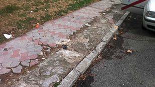 El Ayuntamiento pavimentará un millón de metros cuadrados