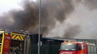 Piden ayuda para rescatar a animales de un albergue cercano a un incendio en Campo Real