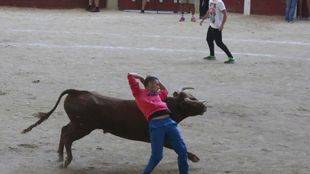 Terminan sin heridos por asta de toro los encierros de las Fiestas de Nuestra Señora de Butarque