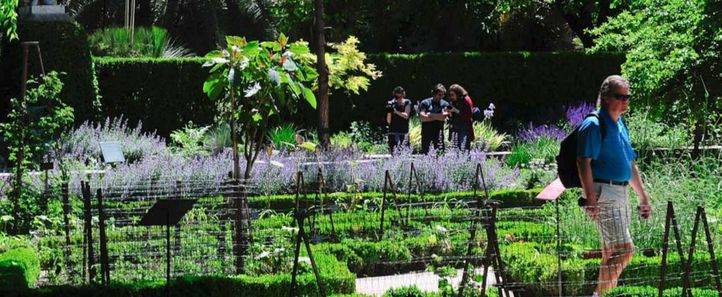 Flores y primavera en el Botánico.
