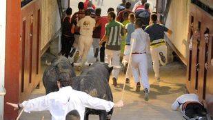 Cuatro heridos leves por caídas en el primer encierro de las fiestas de 'Sanse'